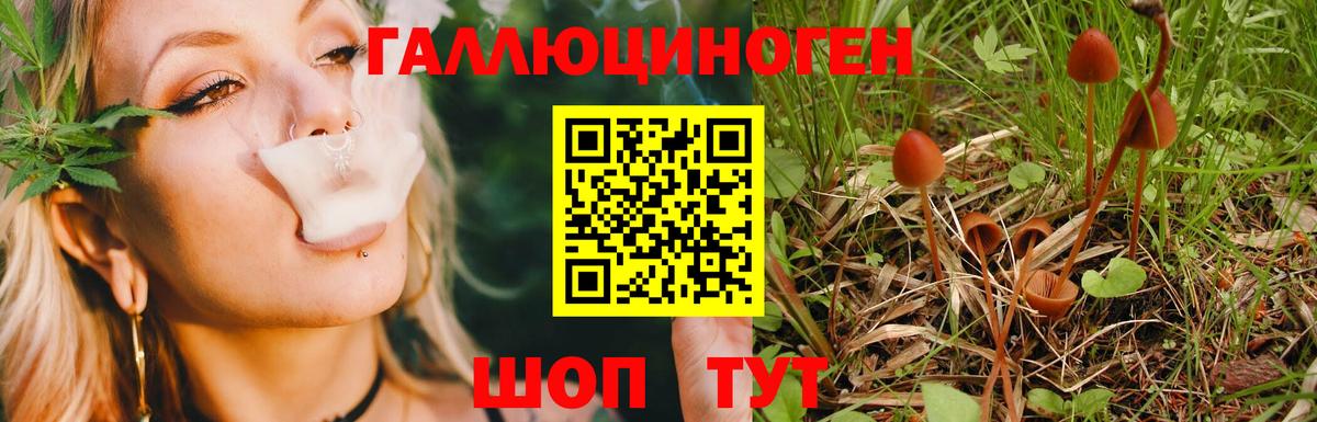 Ишимбай  Псилоцибиновые грибы Psilocybine cubensis  Вход с VPN 